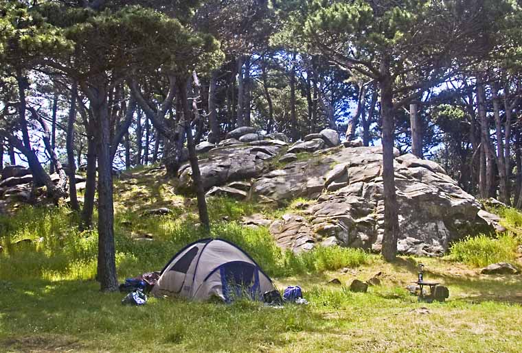 Camping tent site with meadow, trees and rock in background