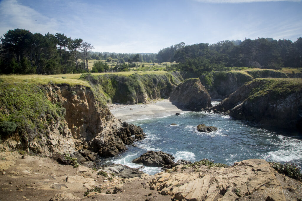 Landscape with bluff, beach and ocean 
