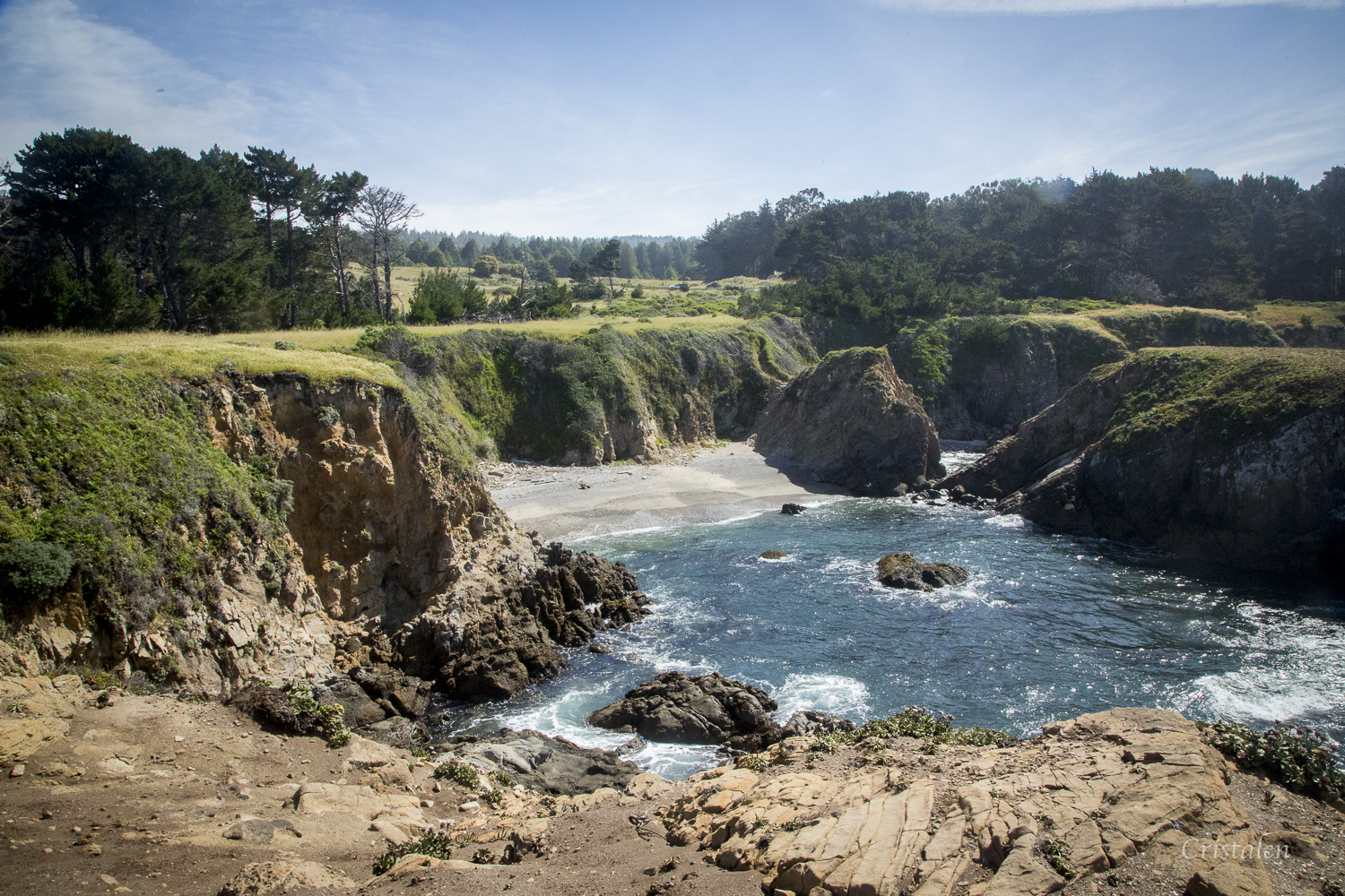 Escape to Fir Cove: Your Northern California Campground Adventure